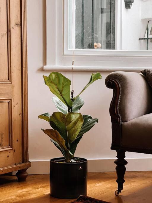 Stunning Victorian Mansion Apartment - Hosted By Agf Property - Free Parking Upon Request Brighton Luaran gambar